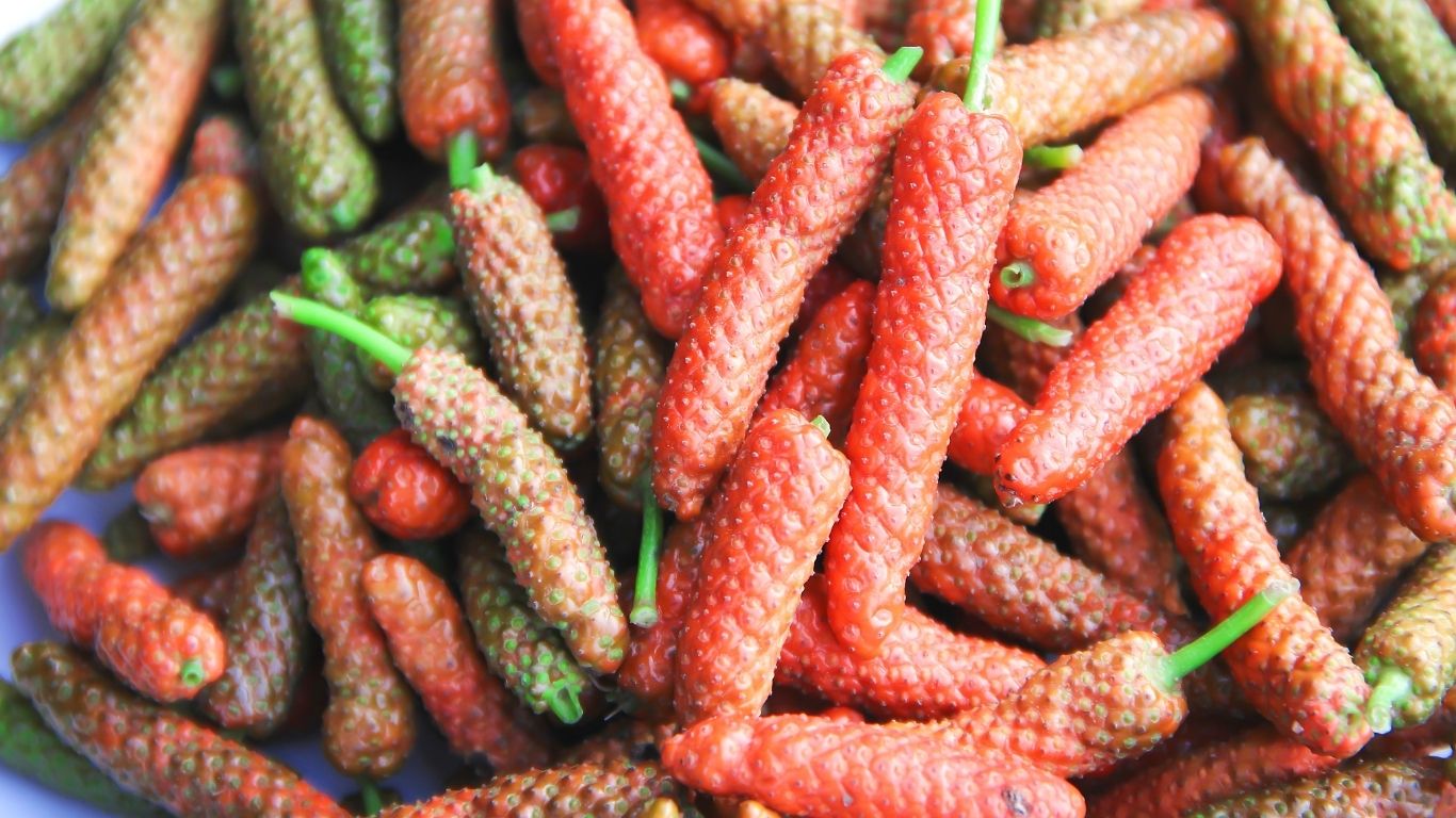 Cabe Jawa